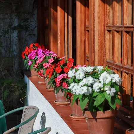 Montecristo Отель Ларедо