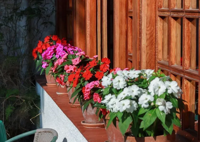 Montecristo 酒店 拉雷多